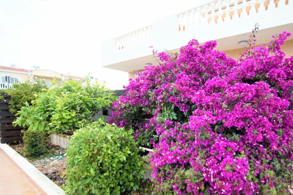 Central Pool-Side 2 Bedroom Apartment In Paphos Ngoại thất bức ảnh